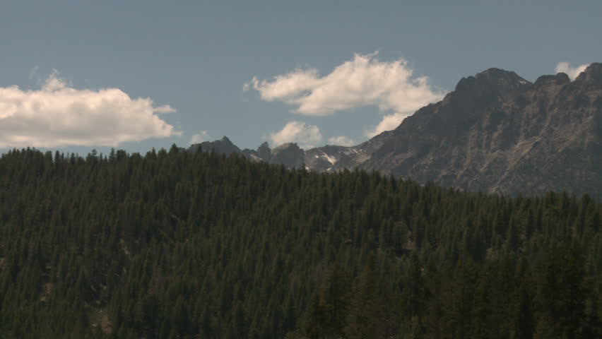 A sliding panorama of a forest and a mountain range in Yellowstone