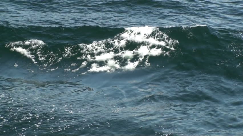 Waves on the sea