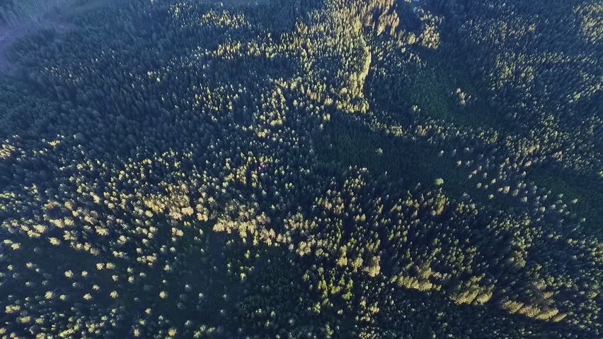Sweden in summer - landscapes, forest, lakes 