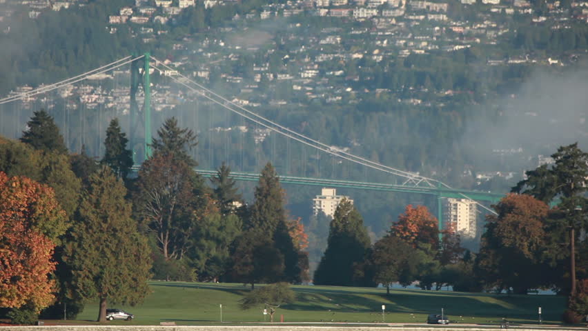 Green suspension bridge by park and neighborhoods