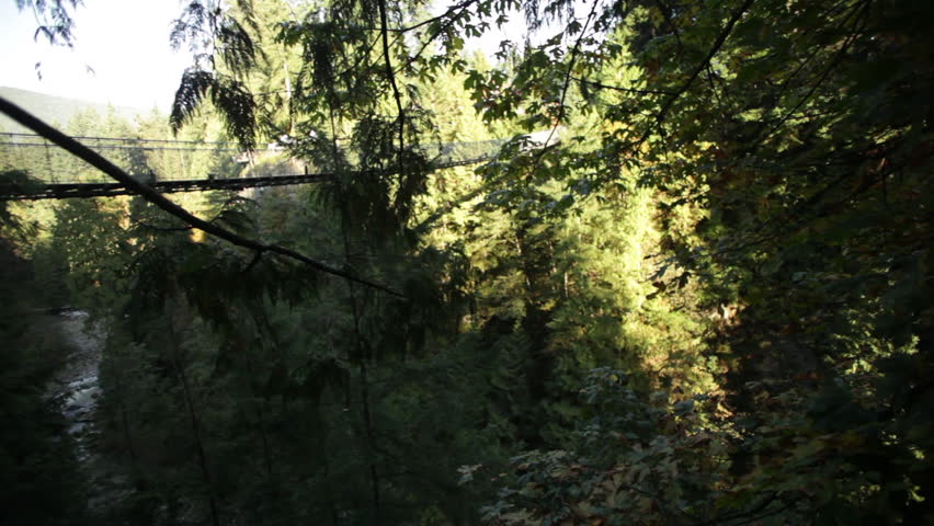 Bridge in Vancouver Forest