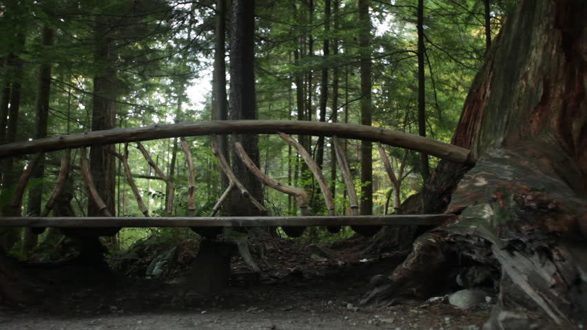 A Crude Bench in the Vancouver Forest