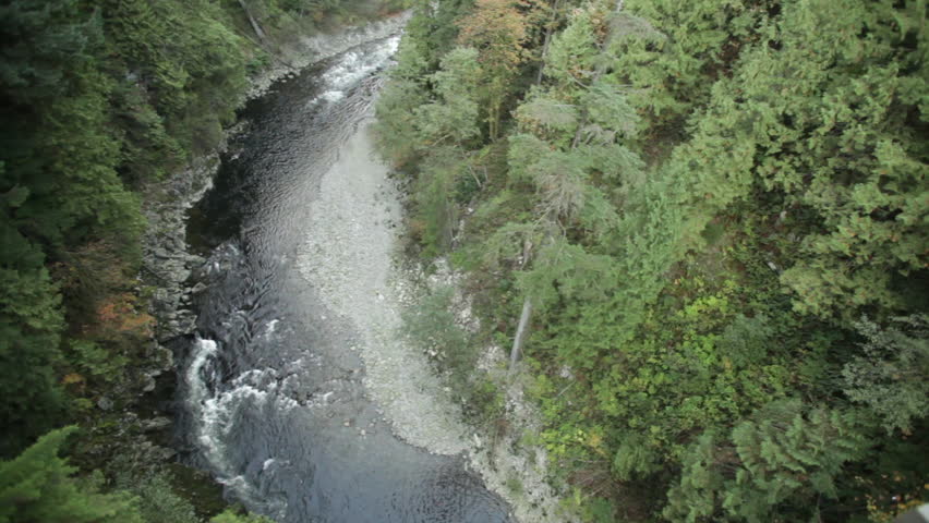 Aerial View of Stream in a Vancouver Forest