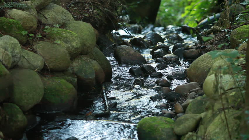 Water Flowing Down Stream Bed