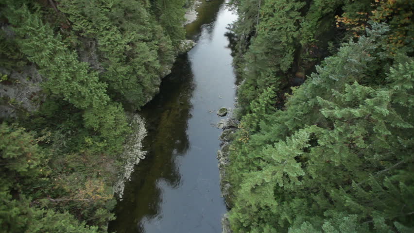 Picturesque View of a Stream in a Vancouver Forest