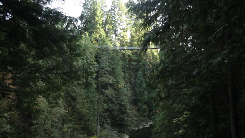 Bridge in Vancouver Forest, British Columbia, Canada