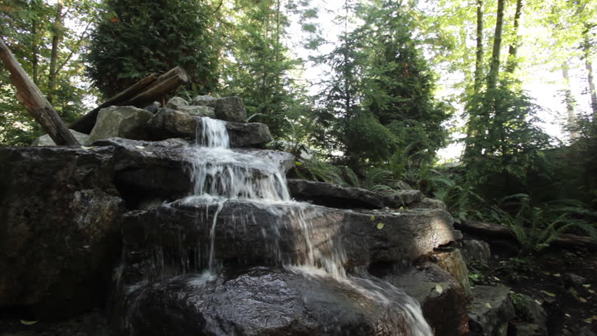 Small Waterfall at Vancouver Forest