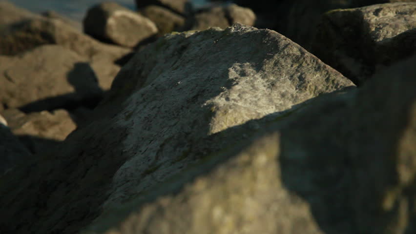 Close-up rocks on a riverside