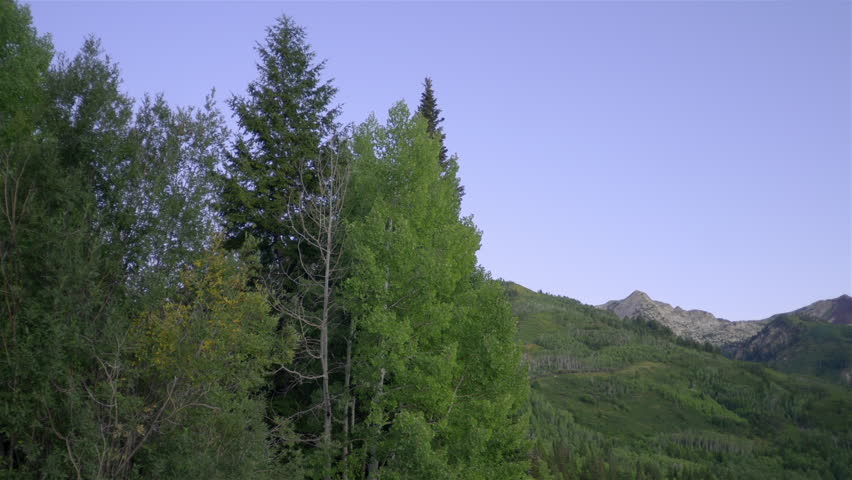 Time-lapse sunrise over green Wasatch mountainside.