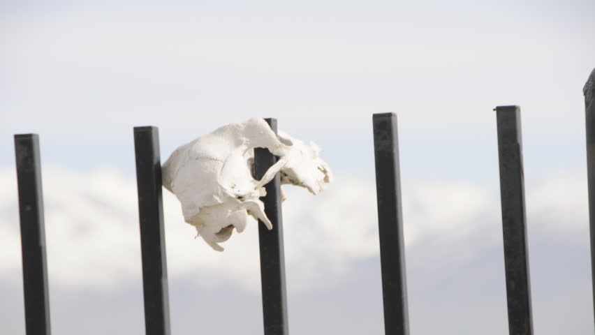 Visualization of a Skull on a Fence