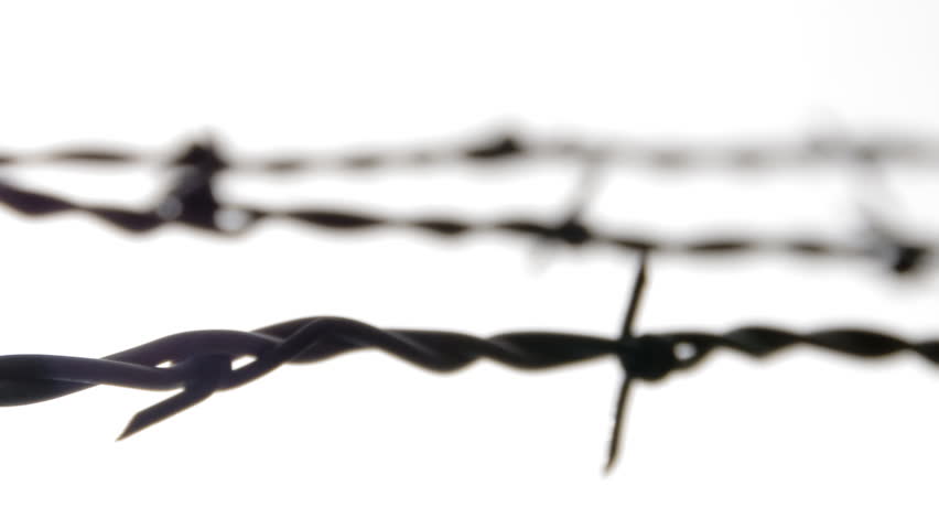 Abstract Visualization of Barbed Wire shapes