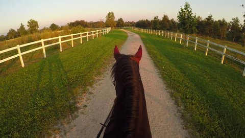 FPV, CLOSE UP: Horseback riding powerful dark bay stallion at magical golden light evening on beautiful countryside horse ranch. Powerful gelding walking on dirty pathway at peaceful sunny morning