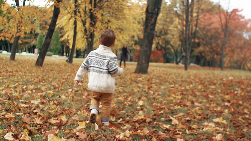 happy cute little boy runs to his mother through the amazing autumn alley in the park slow motion