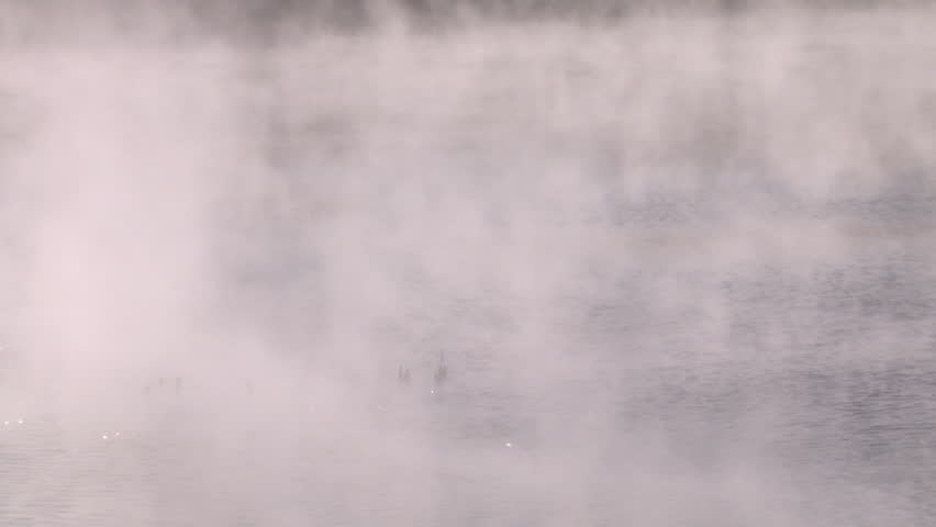Steam on a geothermal pond