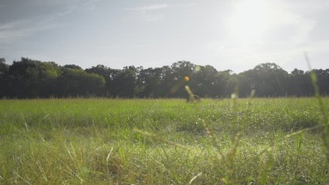 Walking along a field in rural Texas