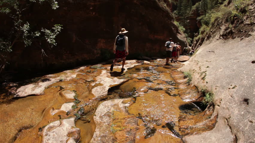 Hikers walking over a stream in the Zion National Park.