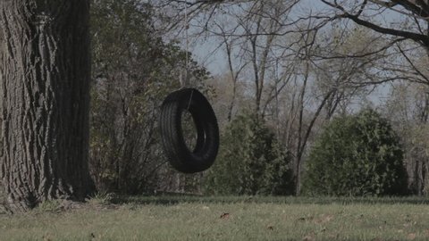 Dangling Rubber Tire Swing