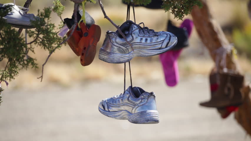 Shoes hanging from a tree