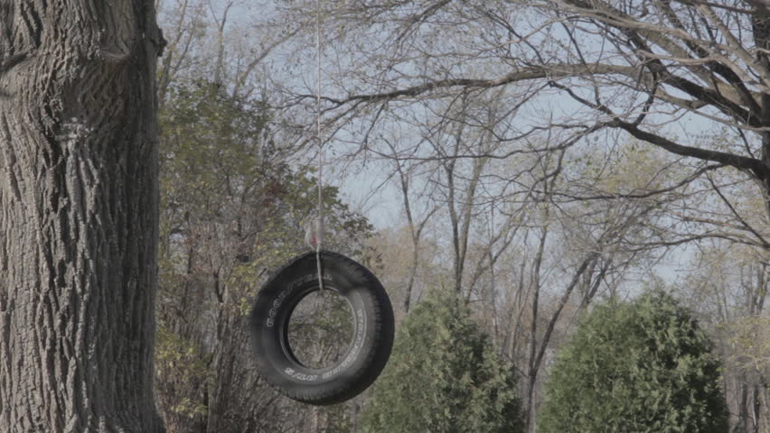 Rubber Tire Swing Hanging from a Tree