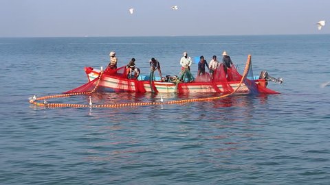 India, Kerala - December 27, 2015: Indian fishermen graphically get painted seine right in boat 2. Net bright colors, white herons grabbing fish, flying terns, wooden beautiful boat. Heard Hindu hymns