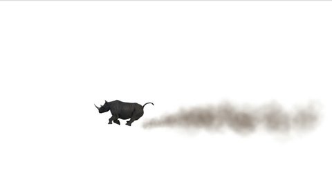 4k Rhino herd running with dust,animals migration on Africa grasslands nature. 4640_4k