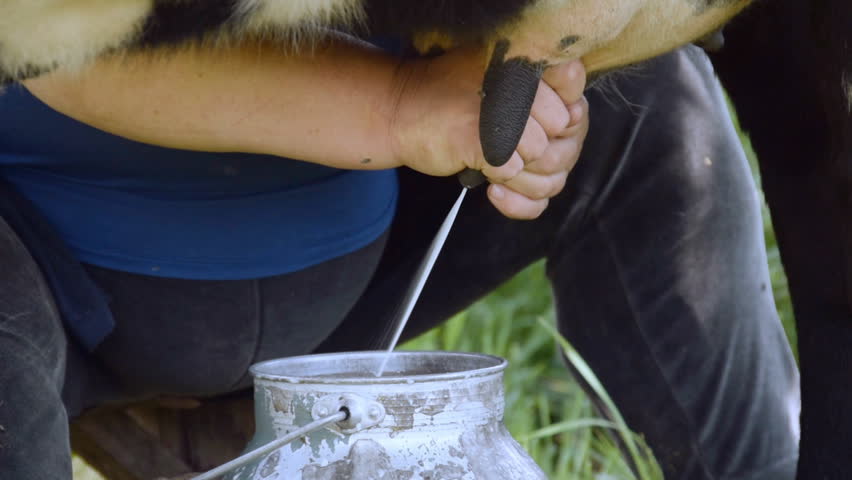 Woman Milked Like A Cow