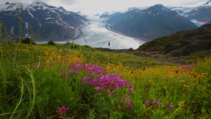 Salmon glacier in Stewart, Canada