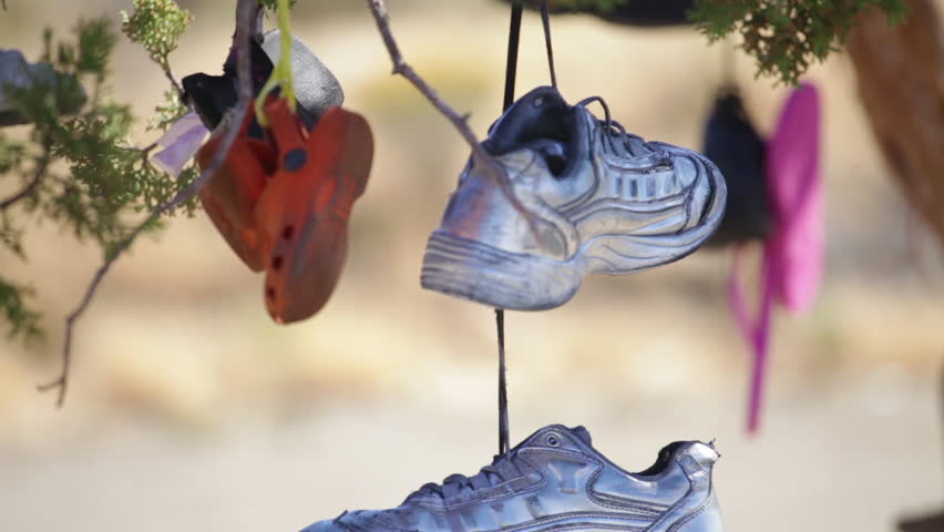 Shoes hanging in a tree