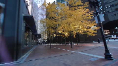 BOSTON, MASSACHUSETTS, USA - CIRCA 2011; Yellow trees surrounded by buildings, in the city. 编辑库存视频