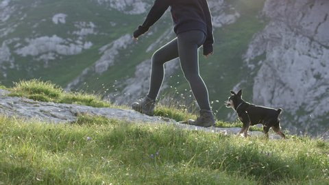 SLOW MOTION: Cheerful strong female and senior pet dog walking uphill on beautiful mountaineering route with rocks and meadow. Smiling girl hiking in mountains with steep rockface in the background