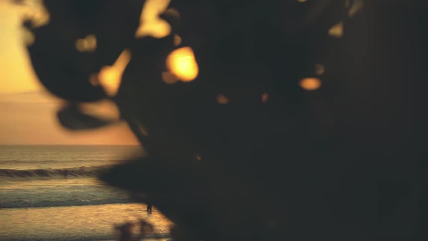 Sunset above ocean, view from behing bushes, slide