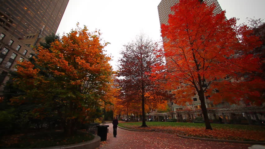 A sidewalk in a park with orange and red trees, Boston, MA.