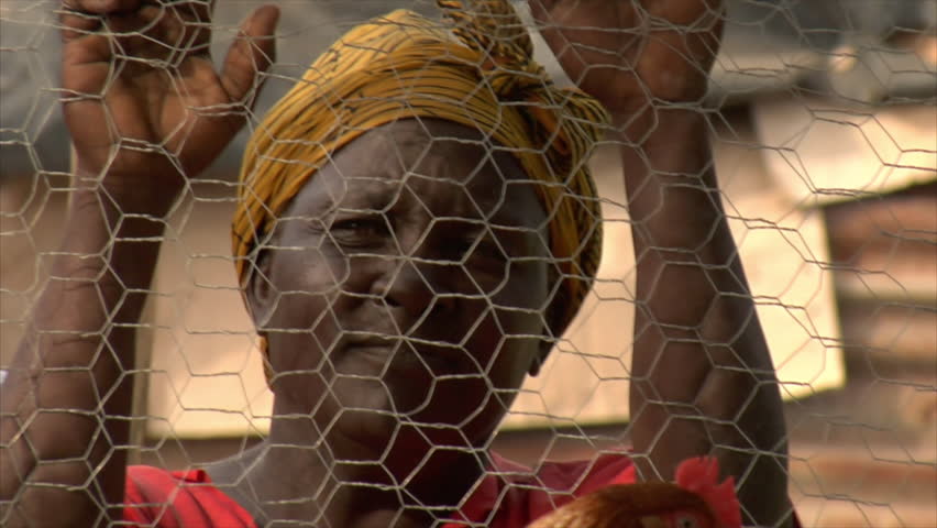 KENYA - CIRCA 2006: Unidentified people look at chickens through a fence circa