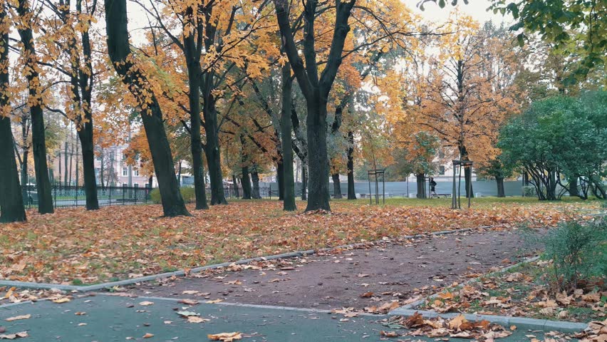 Skater with paper cup walking in the autumn park stands on skateboard and continue pushing 4k