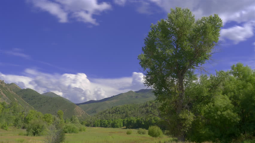 Time-lapse cloudscape over a green deciduous Wasatch meadow.