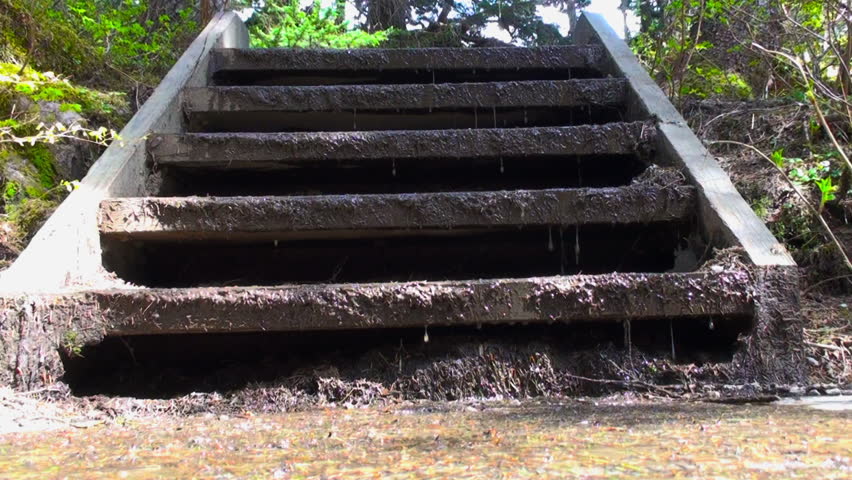Dripping concrete steps