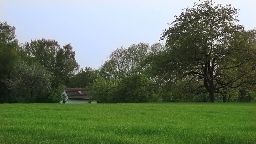 Field, forest and shack