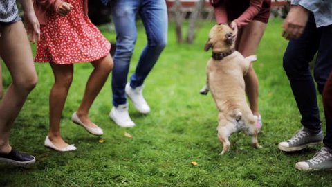 leisure, holidays, fun and people concept - happy friends dancing with french bulldog dog at summer party in garden