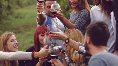 Group of friends toasting with red wine in the vineyard
