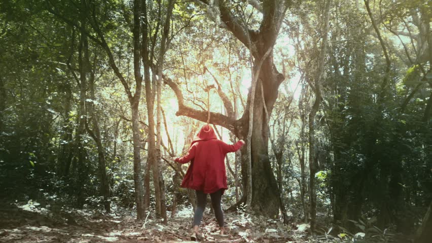 Woman runs  through the magical forest at dawn, Wooden forest of Colombia