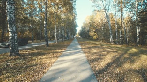 The guy rides along the bike path. Young guy in a cap riding a bike, it overtakes the girl. The race on the bike. Mischief, fun. Biking in the autumn forest. Romantic date. Clear weather.