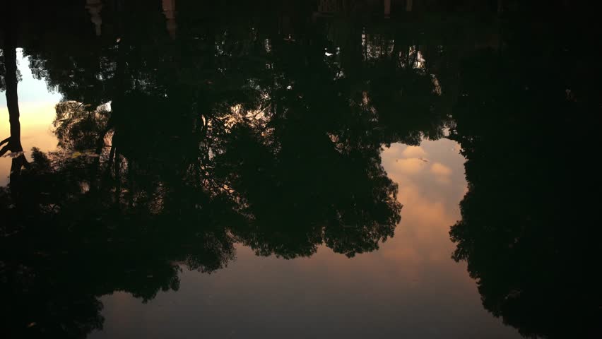 Chill water of park pond with mirrored trees in twilight time