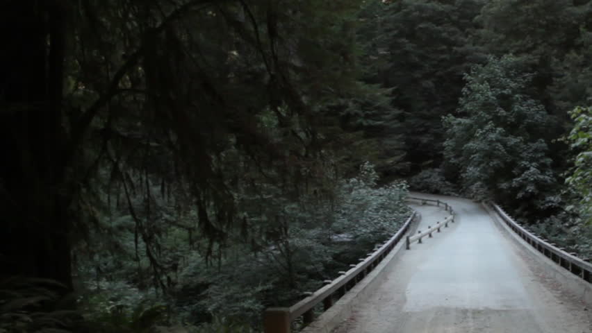 Driving across small bridge in redwood forest