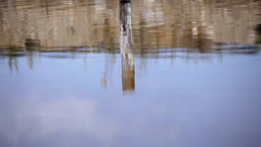 Reflection of a post in a rippling pond.