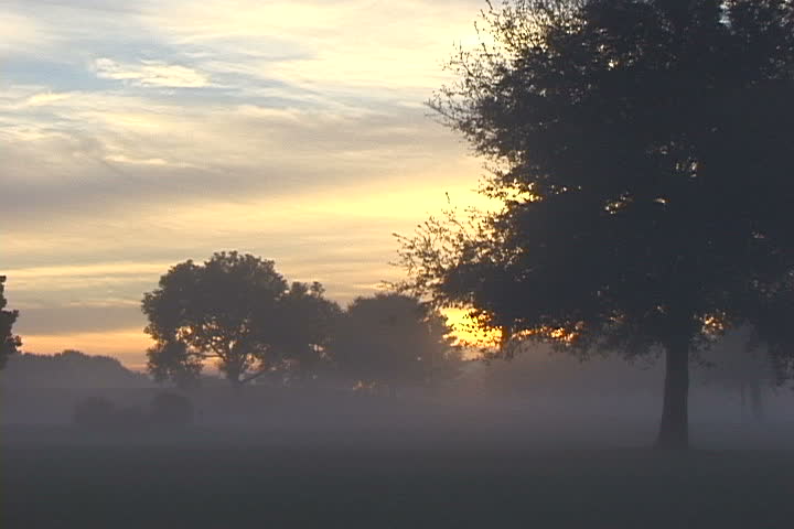 Hazy Evening