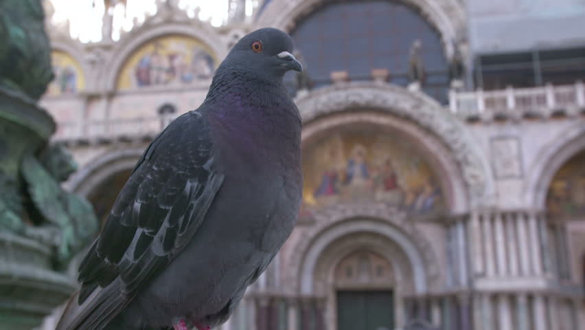 Basilica di San Marco cathedral church at San Marco or St. Marks square. San Marco basilica architecture. 