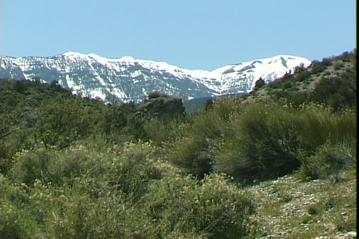 High Desert Mountains