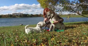 Young woman playing with dogs in the park in autumn