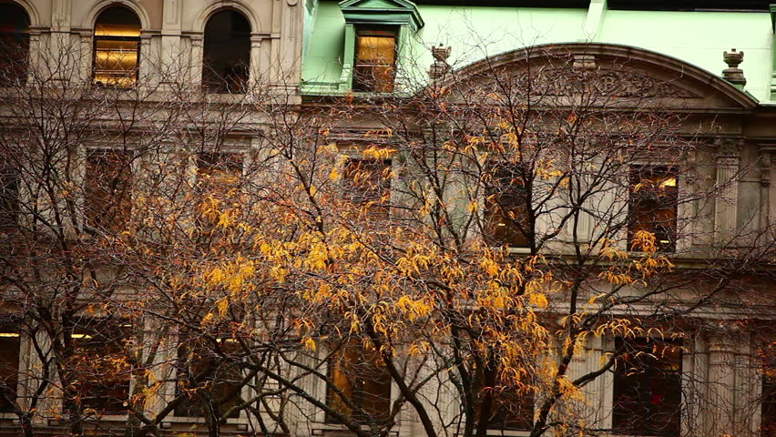 Roman architecture and yellow tree in Boston, MA