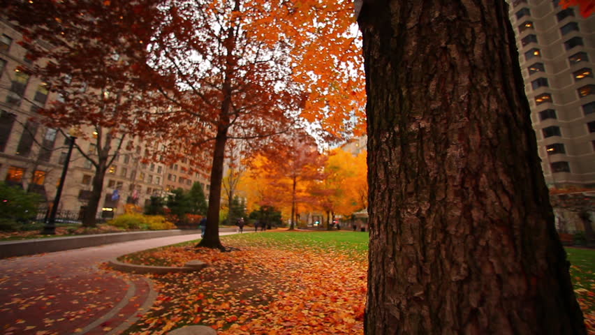 A sidewalk in a park in the fall time, Boston, MA.